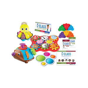 cognitive support kit: includes a class dictionary, class strategy cards, and toys for infants and toddlers