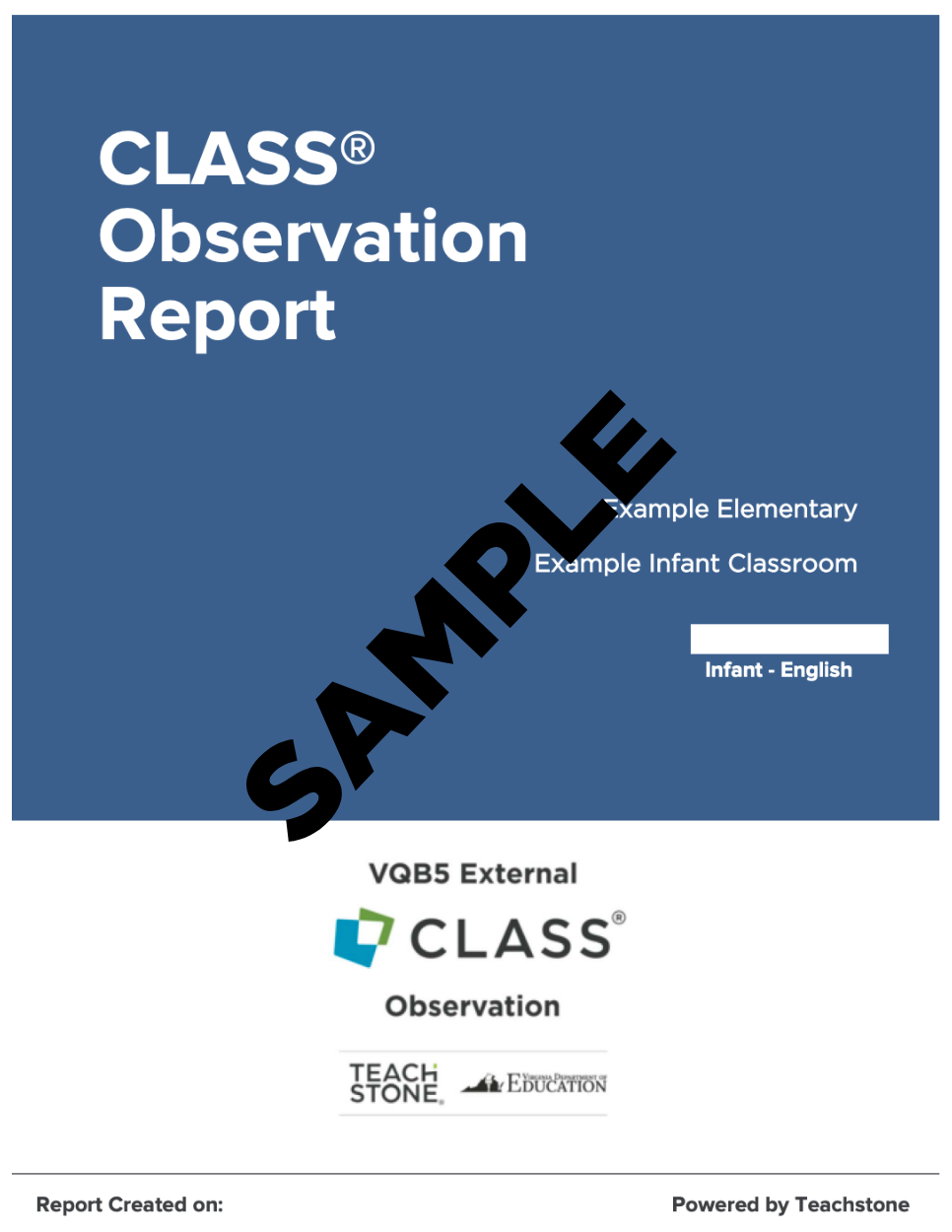 Cover of CLASS Observation Report for Infants